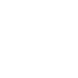 Veldboom Studios logo